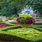 Atlanta Botanical Garden