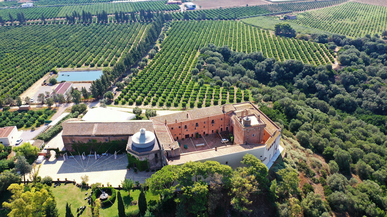 The Wedding Website of Alexandra Menard and Sanjin Hadziomerovic