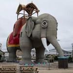 Lucy the Elephant