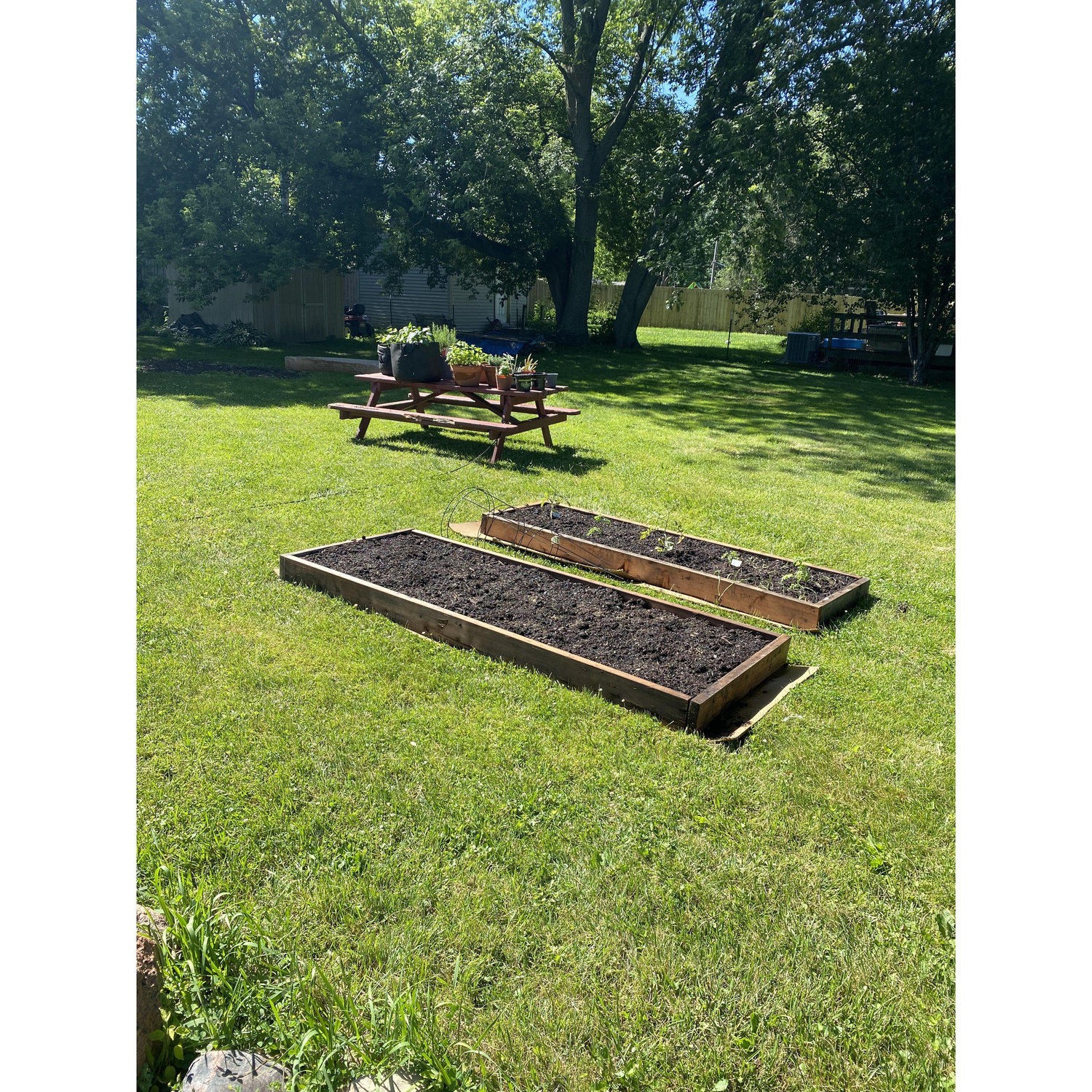 Our First Garden