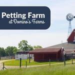 Domino Farms