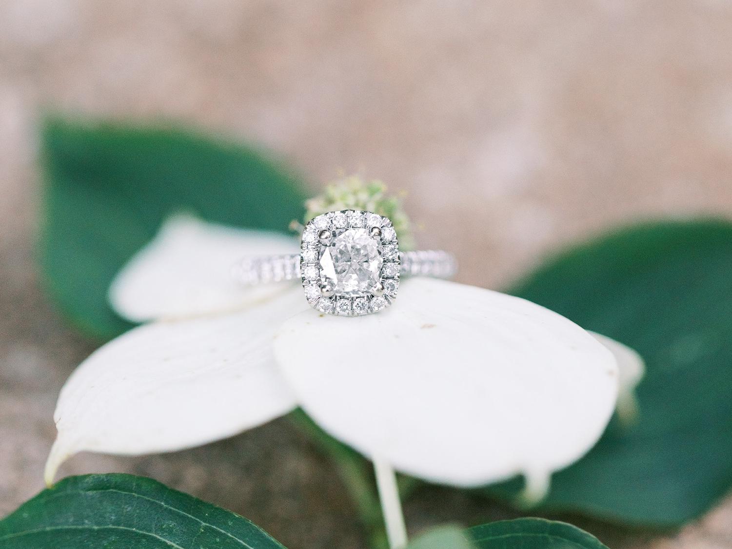 The Wedding Website of Laura Russo and Stephen Cuccio