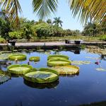 Naples Botanical Garden