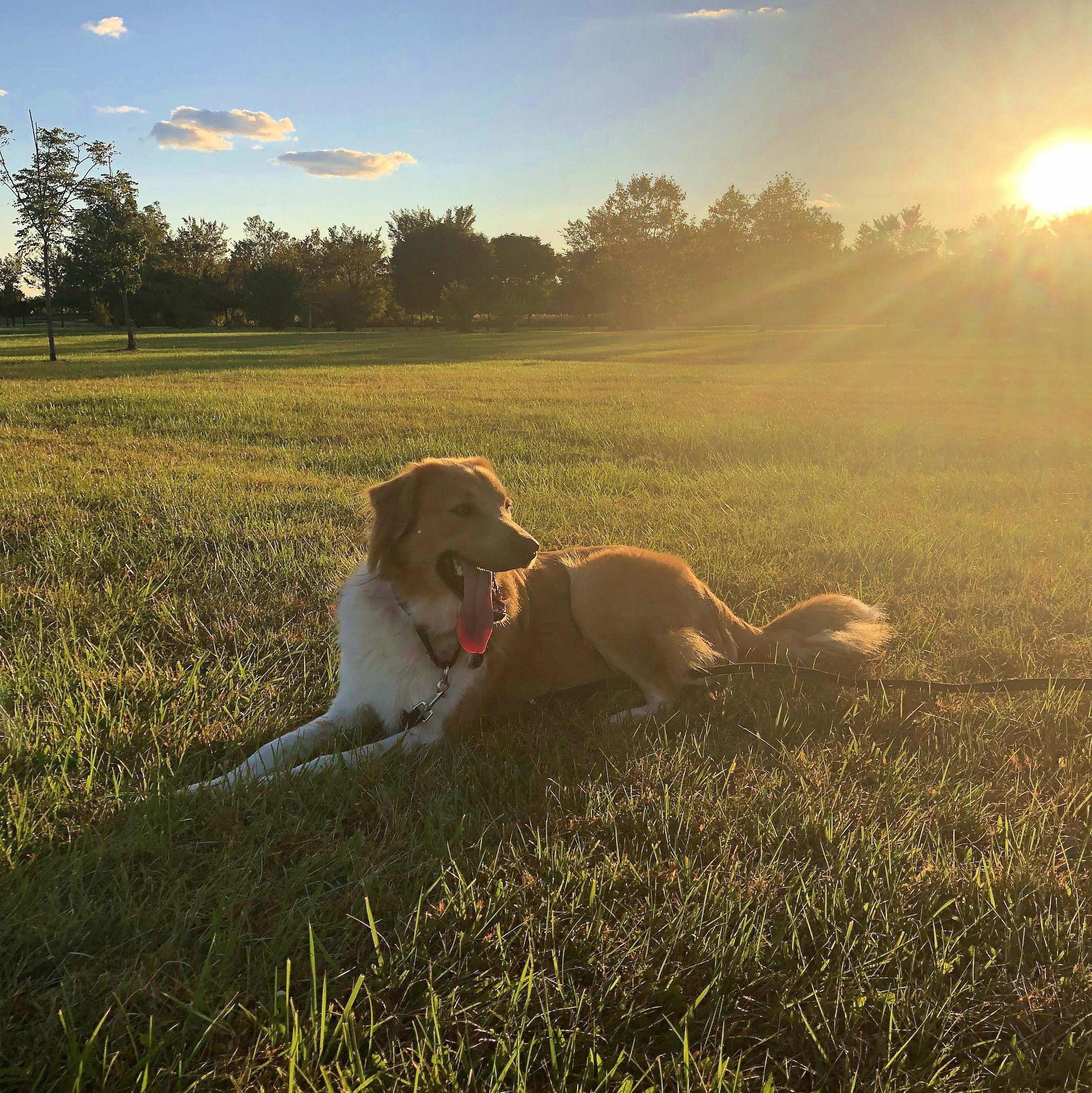 Liberty State Park 2021