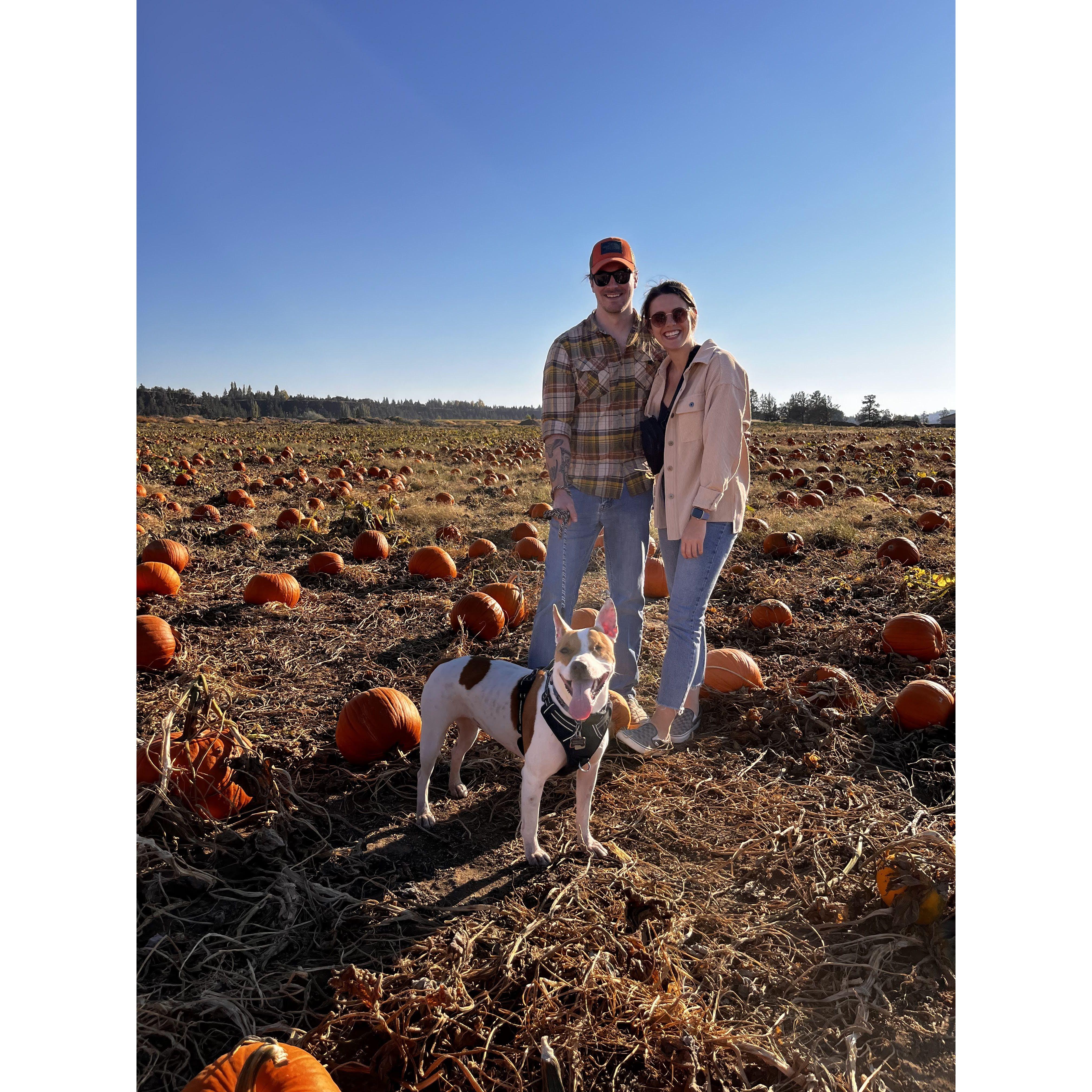 Family trip to the pumpkin patch