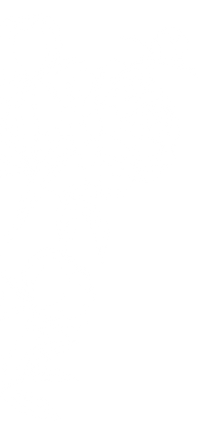 peonies