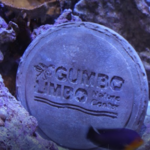 Gumbo Limbo Nature Center
