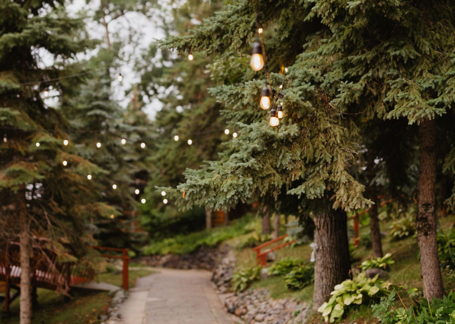The Wedding Website of Nickii Arcado and John Indergaard