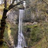 Silver Falls State Park