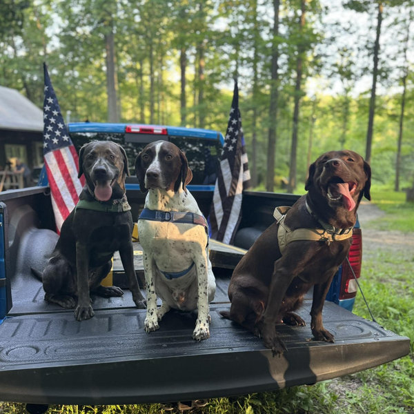 Pup Fund