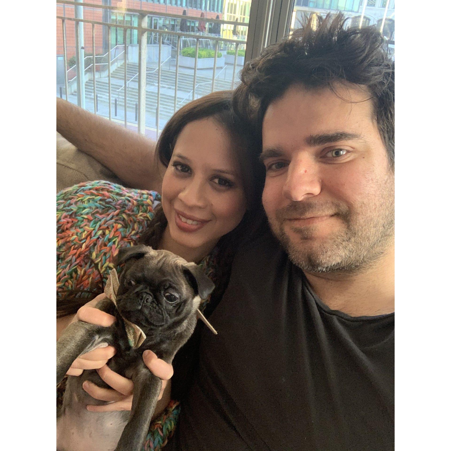 New pug parents in Canary Wharf