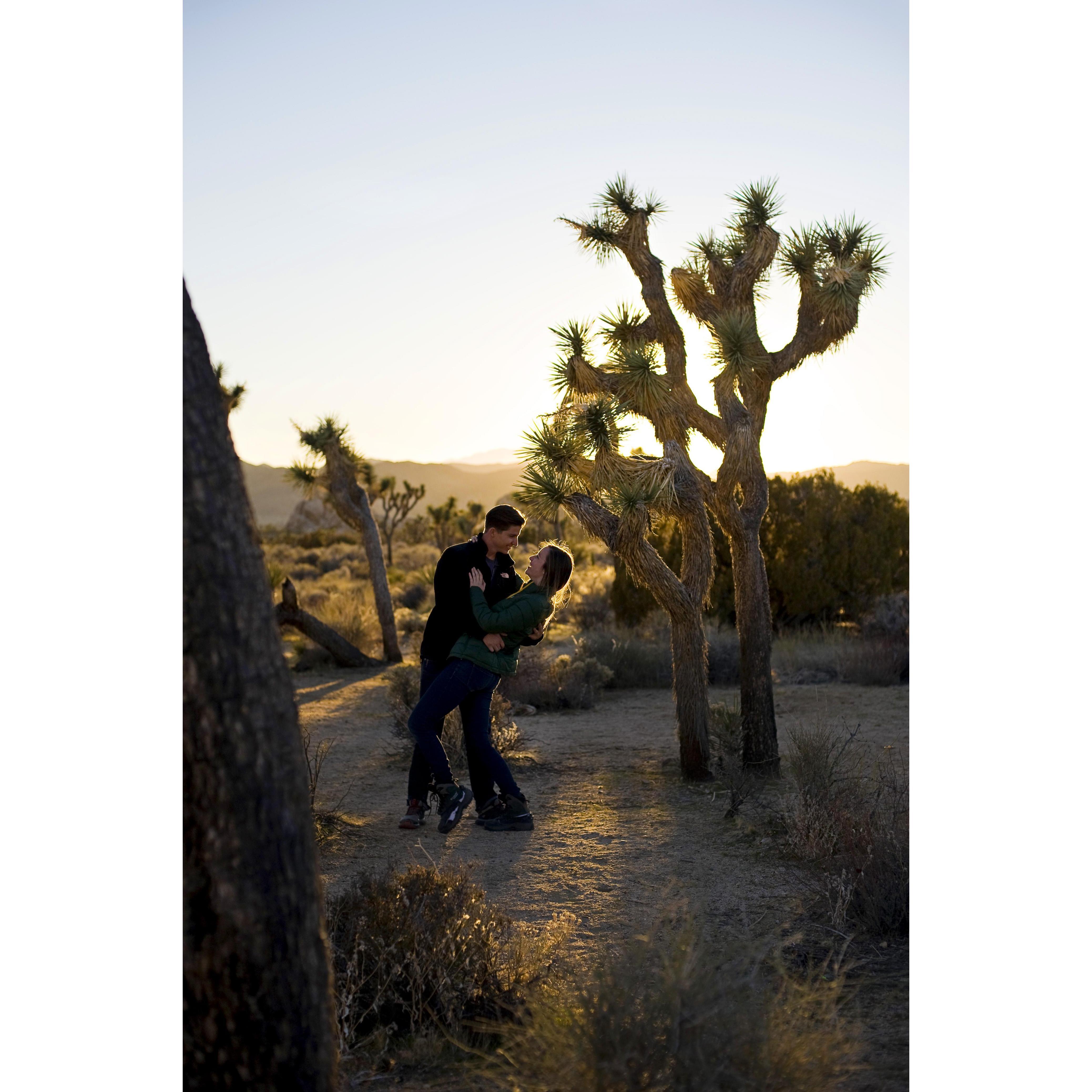 "self portrait" in Joshua Tree, Calif. on Meagan's 28th birthday '2018