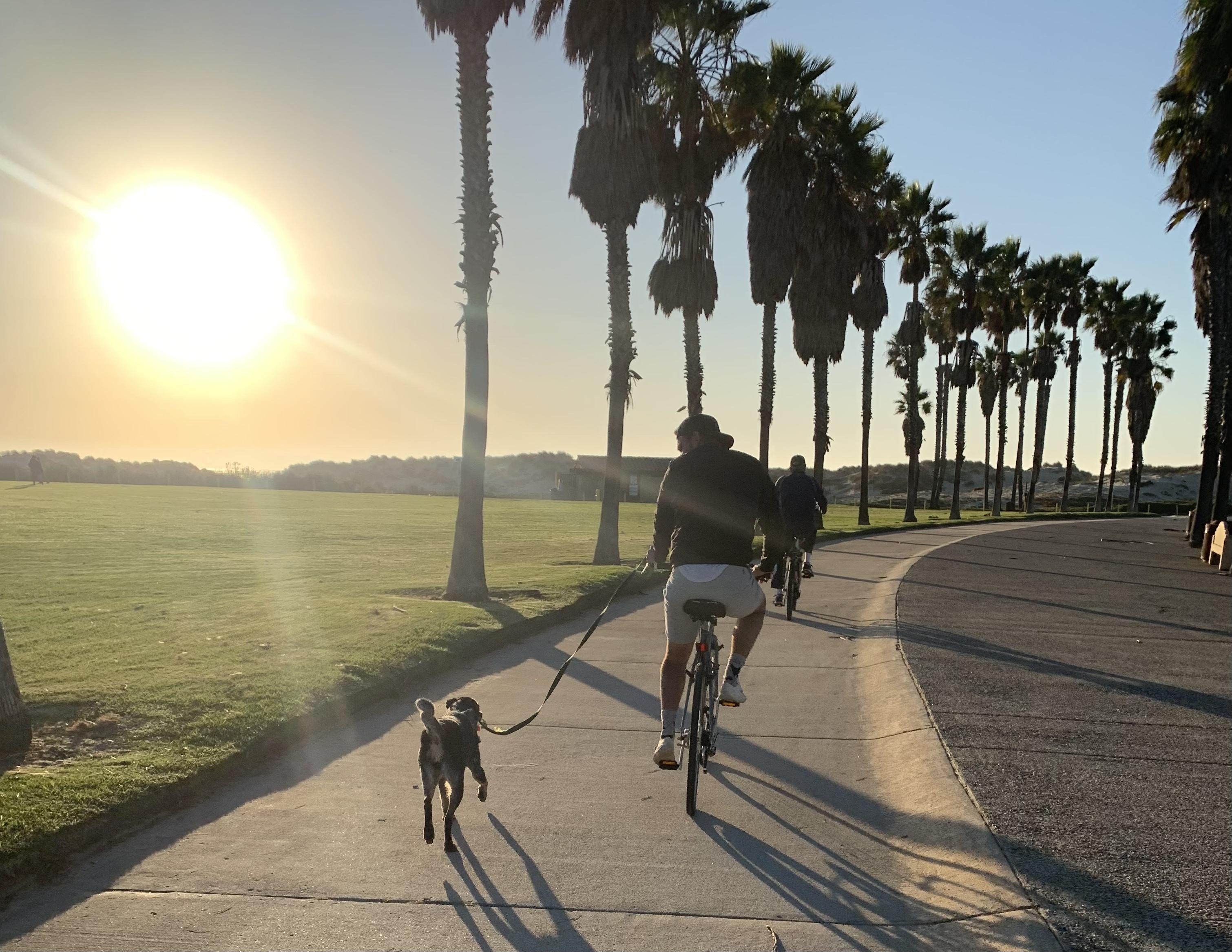 The Wedding Website of Julia Spector and Steven Sullivan