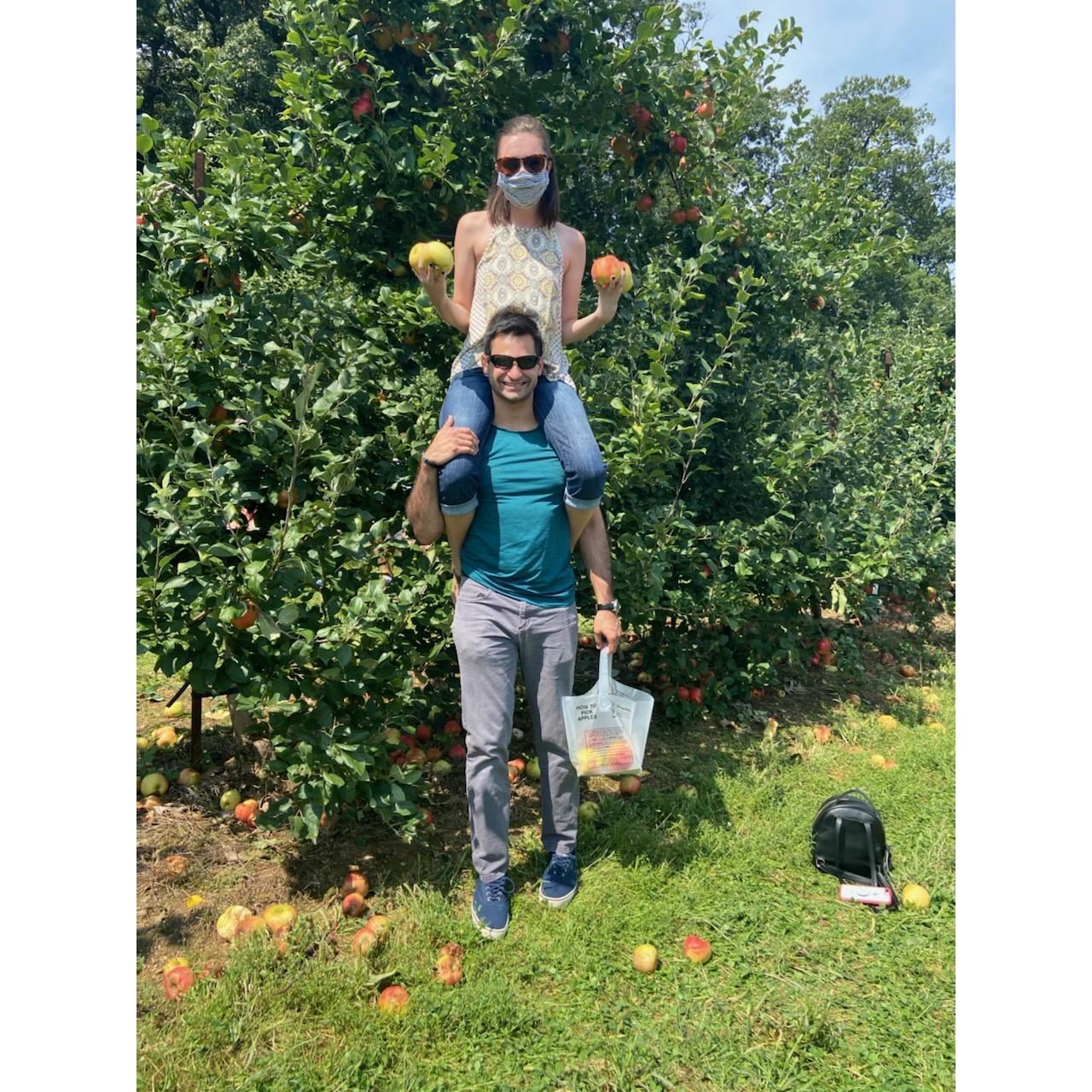 Apple picking on our second anniversary, September 7th, 2020