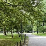 McCarren Park
