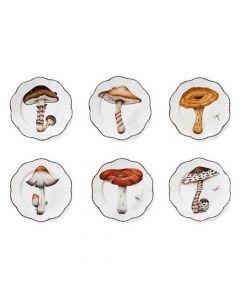 Champignon China