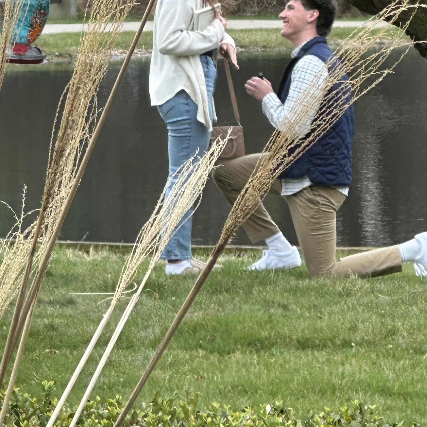 “You guys should take a look at the huge fish in the pond! They’re huge this year!!”
