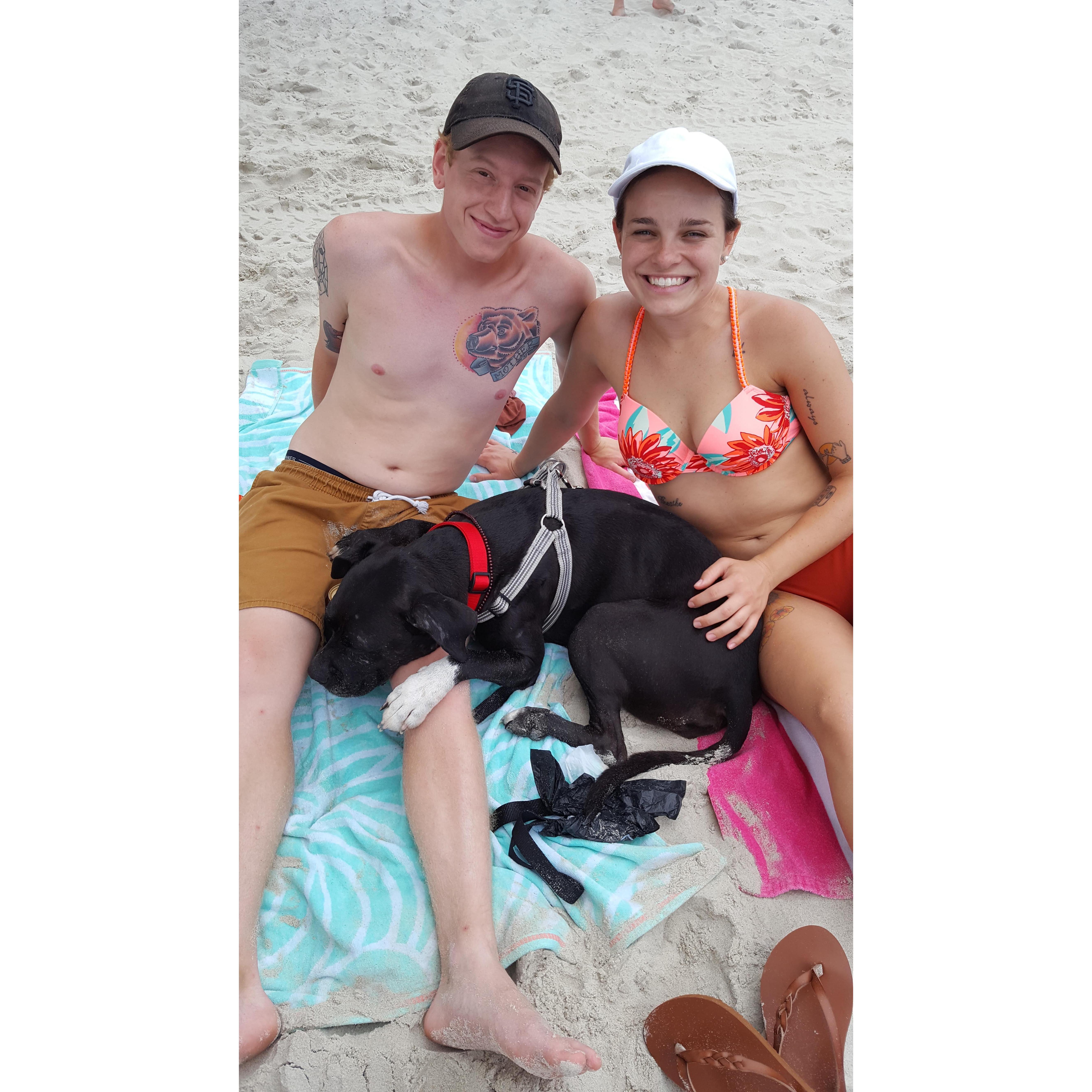 July, 2017: Noah and I's little family grew by one! We adopted Rosa who was in desperate need of some TLC.