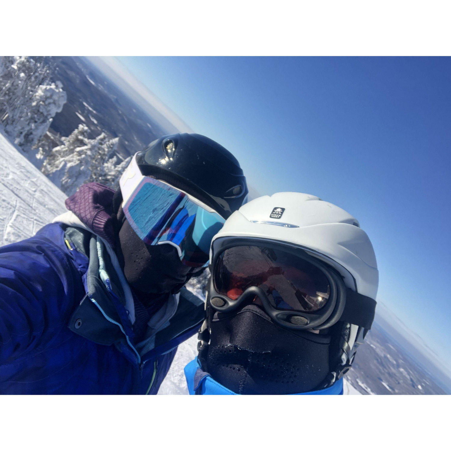 Cold Day for a Tremblant Ski