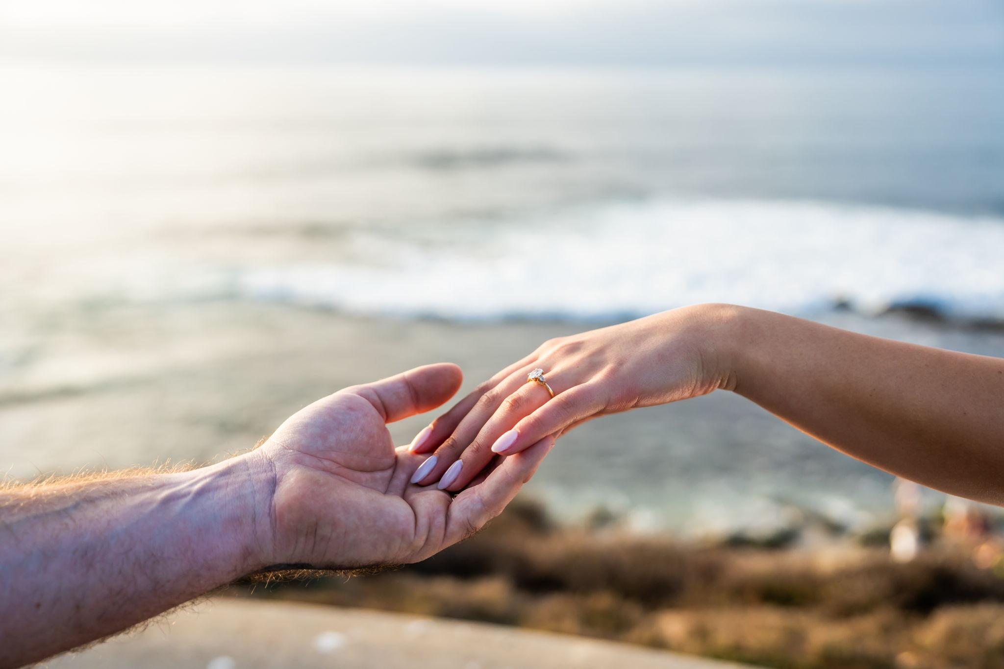 The Wedding Website of Victoria Lacampagne and Brian Monahan