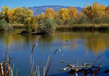Rio Grande Nature Center State Park