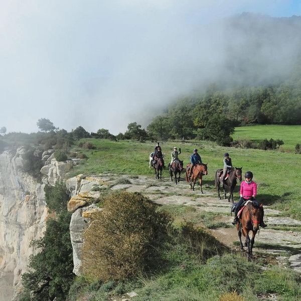 Horseback Riding