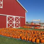 Ramseyer Farms
