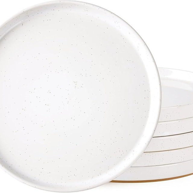 AmorArc Ceramic Dinner Plates Set of 6, 10.25 Inch Stoneware Plates for Kitchen,Modern Flat Dinnerware Dishes Set,Microwave& Dishwasher Safe, Scratch Resistant-White