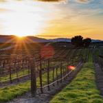 Arkansas Wine Country