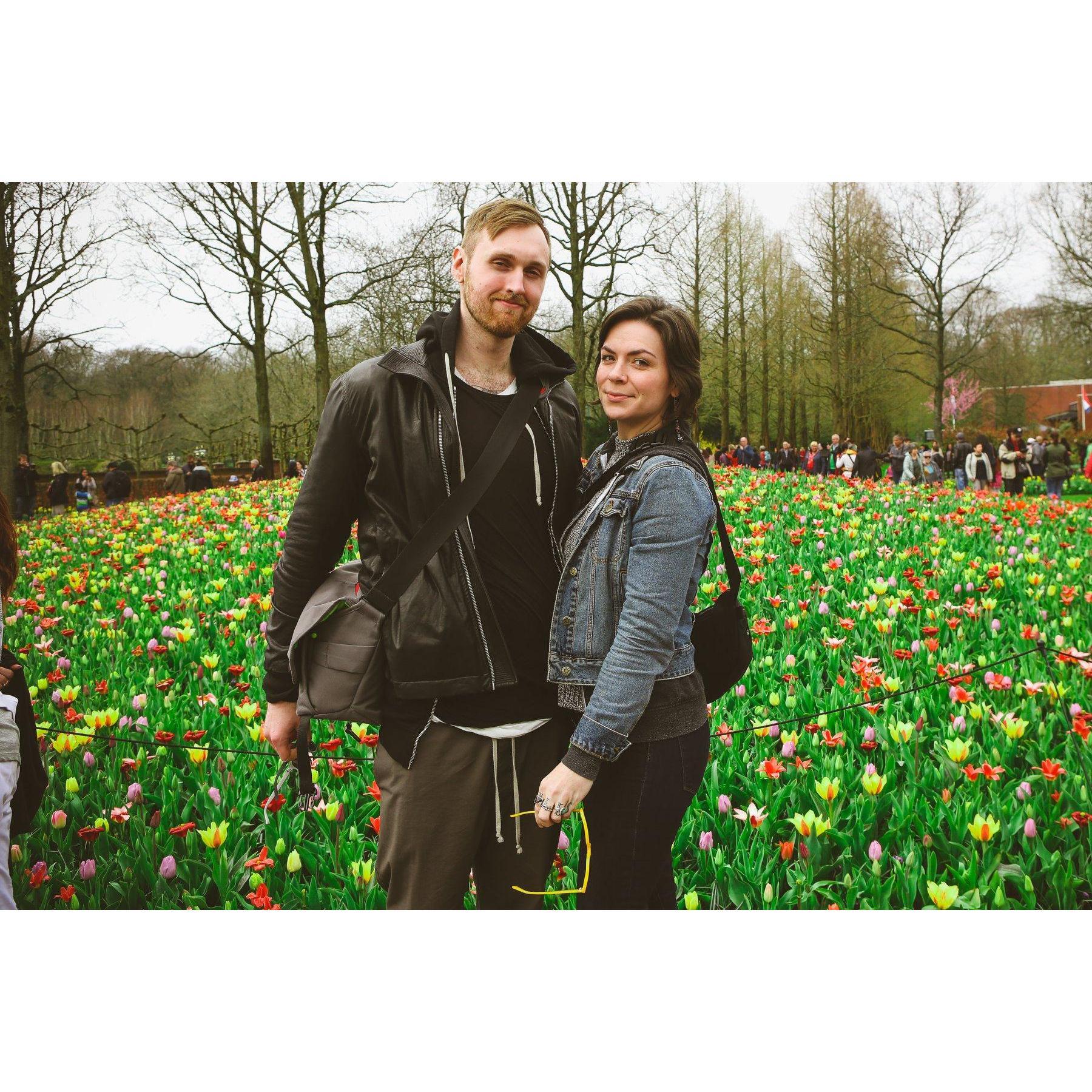 Keukenhof Flower Fields, outside Amsterdam