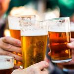 Breweries & Bars