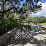 Bike Rentals