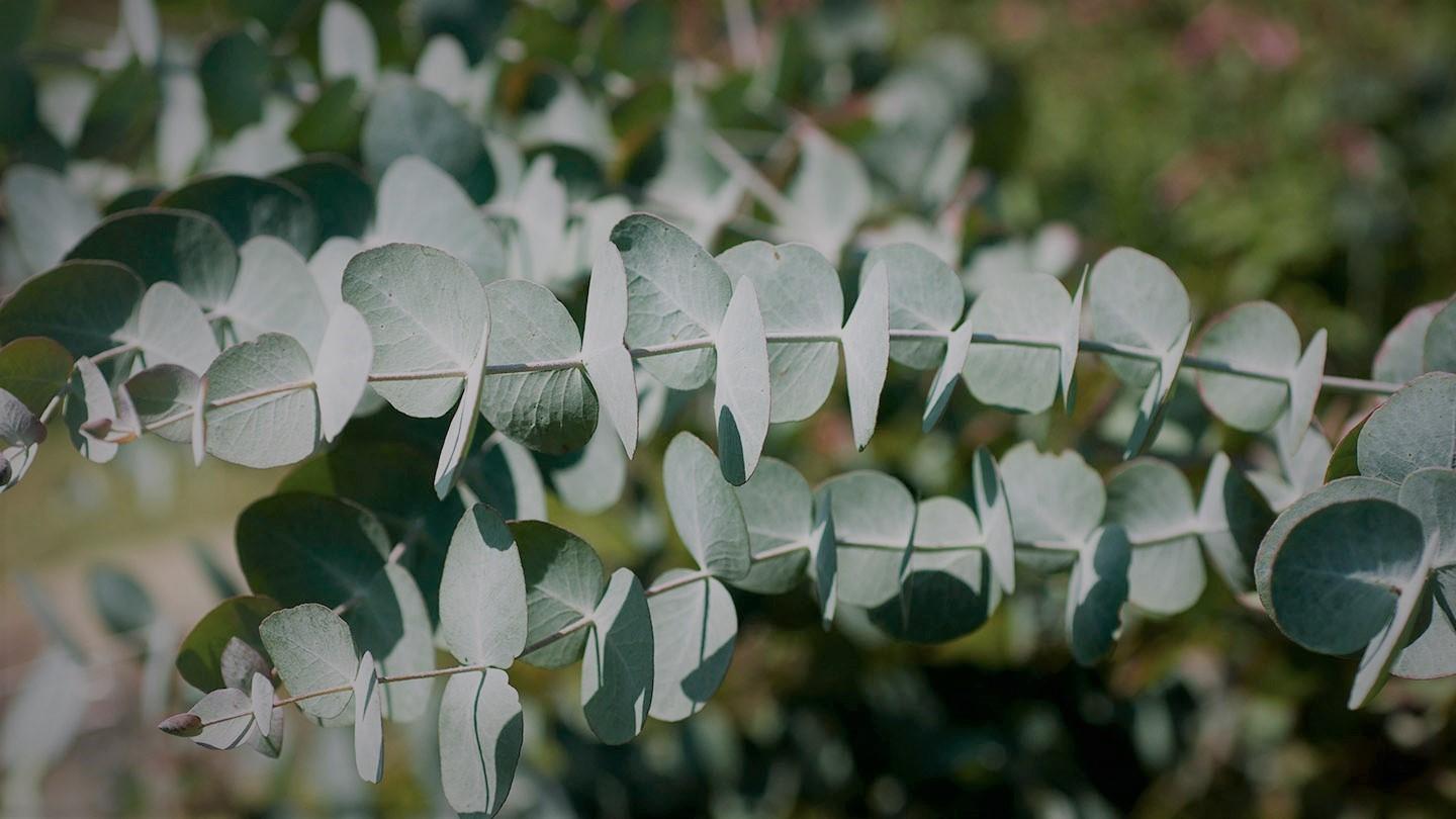 The Wedding Website of Lauren Warsocki and Clayton Del Prince