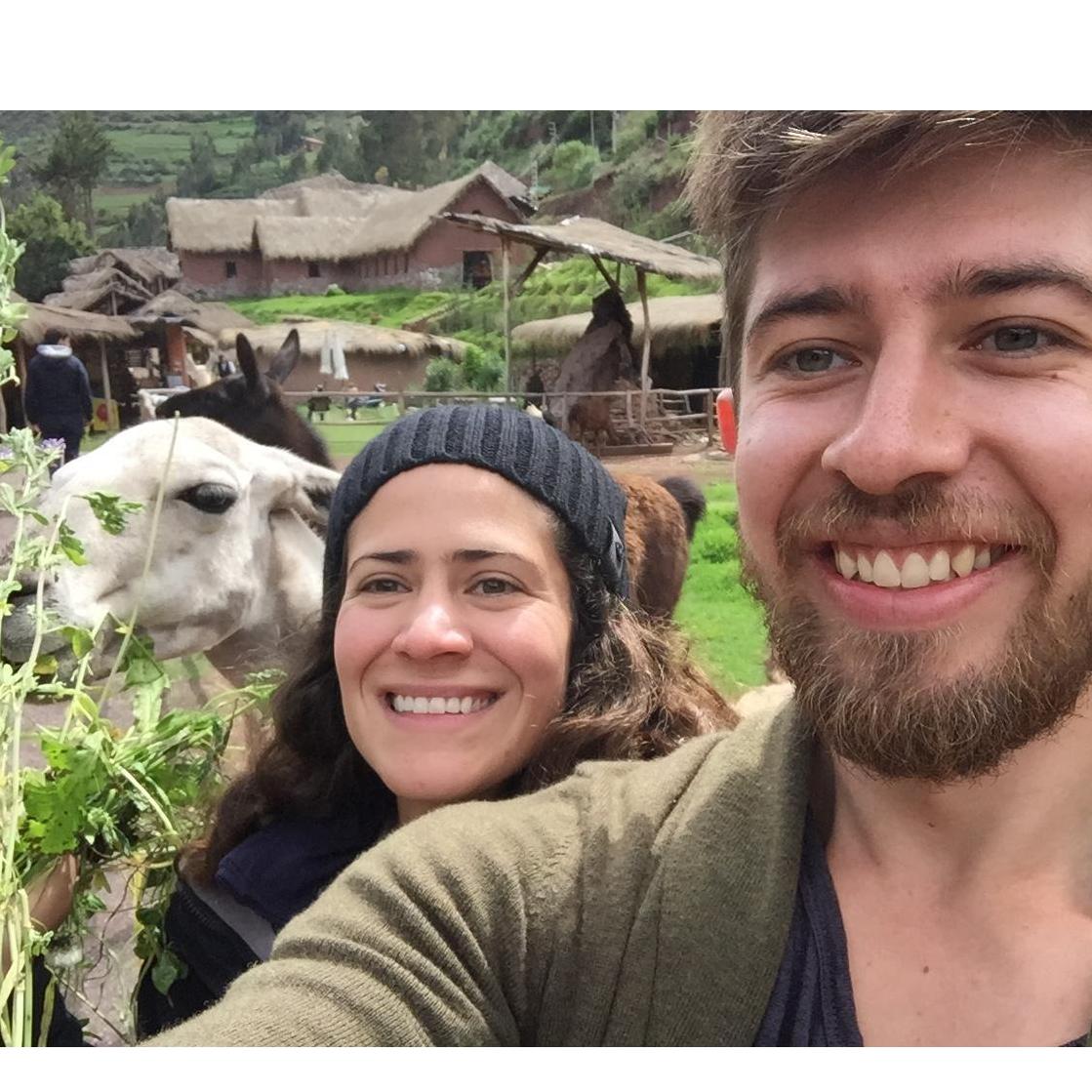La Llama y el Guanaco