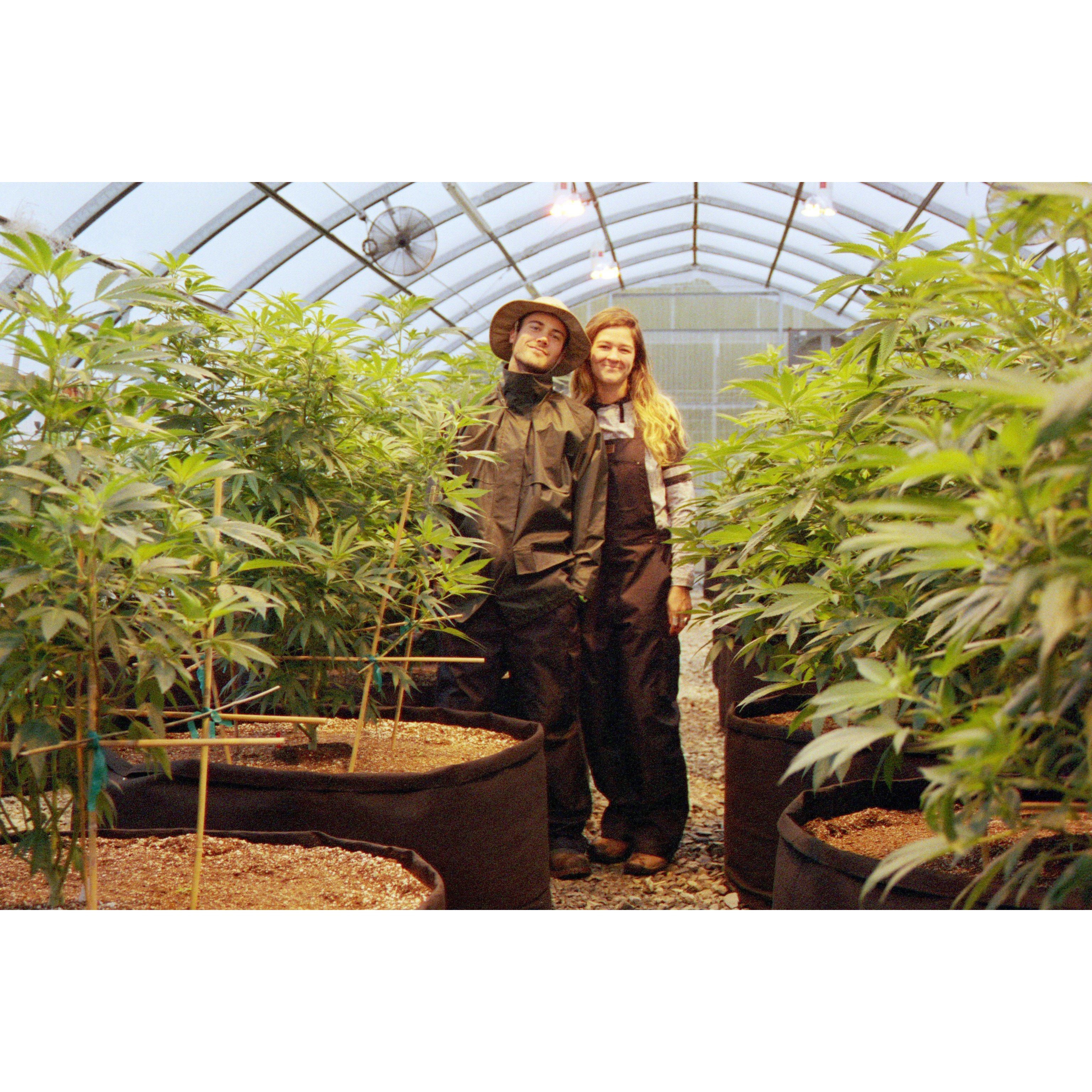 Staying dry in the greenhouse during winter.