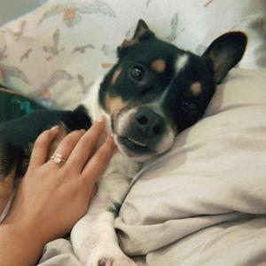 Mako Fund