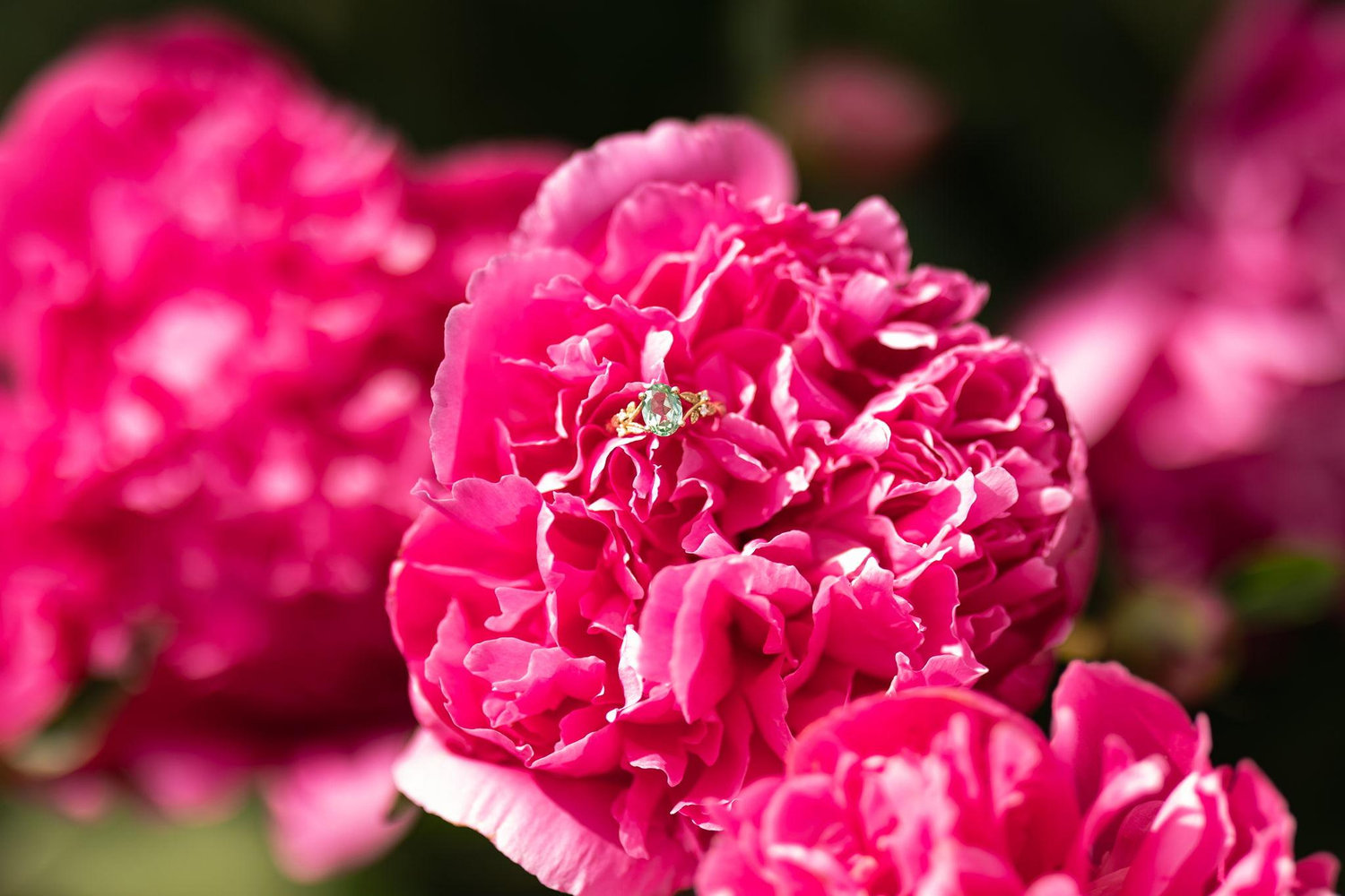 The Wedding Website of Nathan Creger and Olivia Wilder