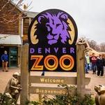 Things to Do: Denver Zoo