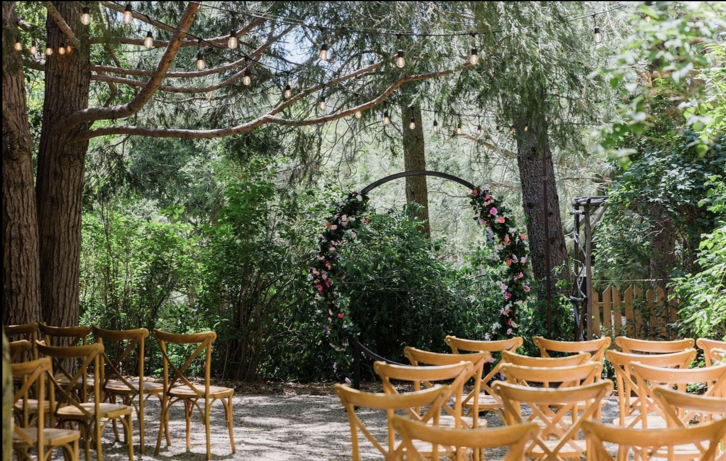 The Wedding Website of Aleksis Livshits and Michael Tombleson