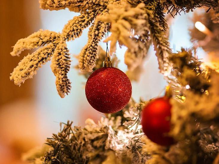 The Wedding Website of Zane Wilchar and Savannah Riddell