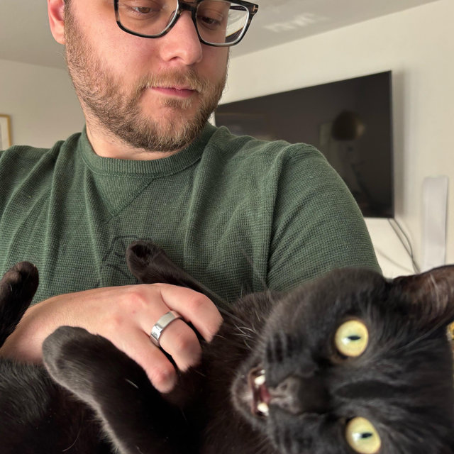 Honeymoon Cat Sitting!