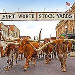Fort Worth Stockyards