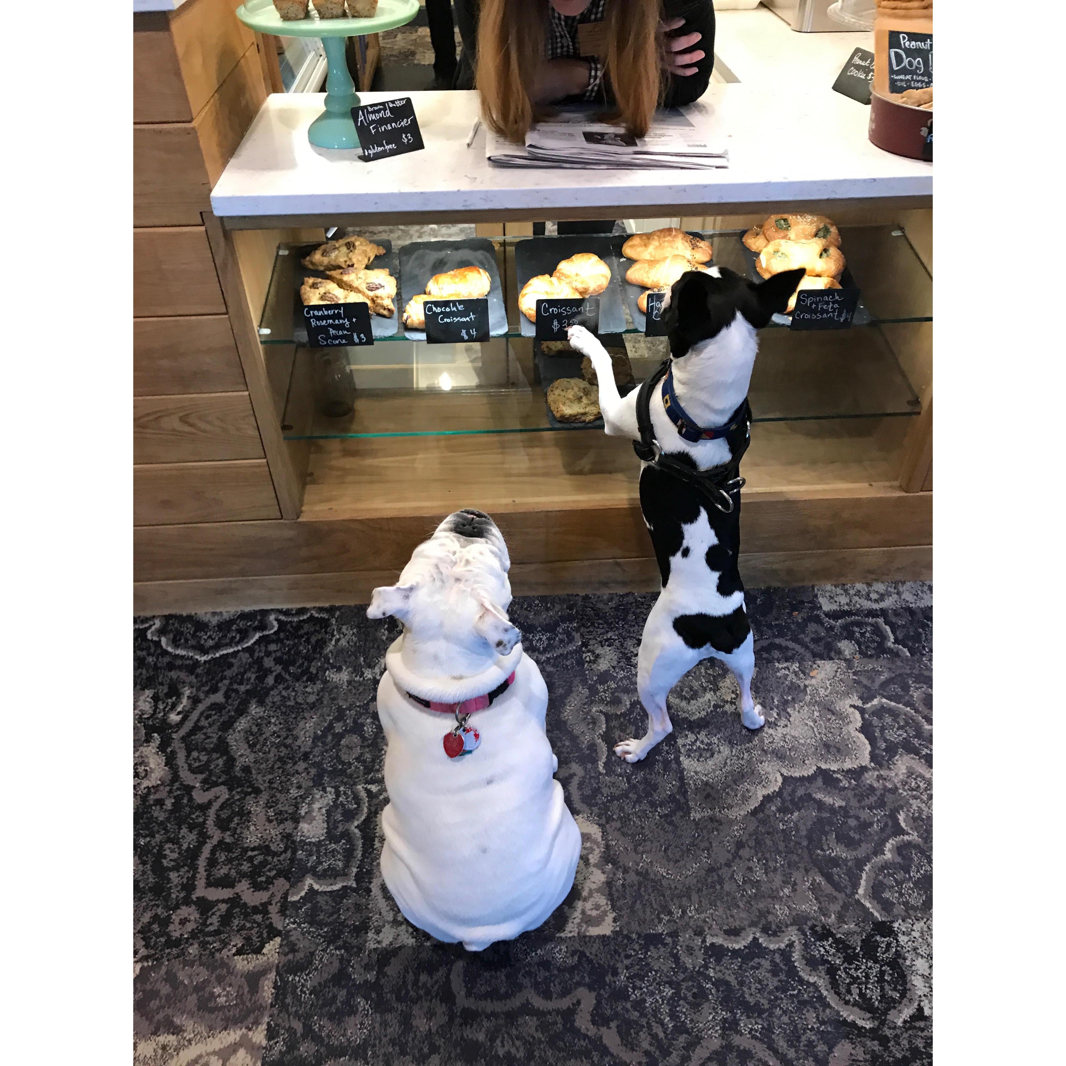 Mischievous tales of Lu & Ro.