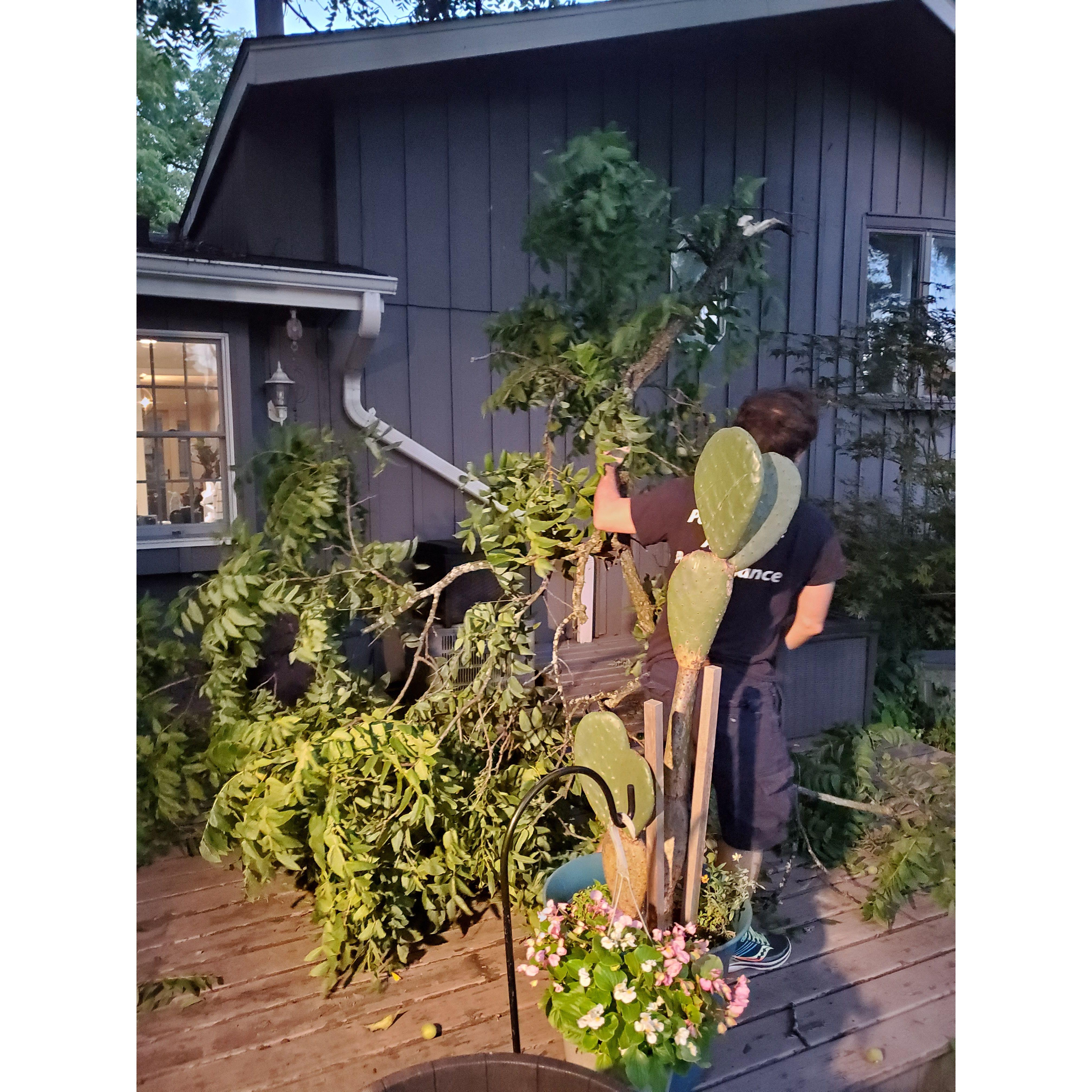 Gardening - Jason's happy place