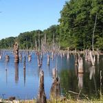 Merrill Creek Reservoir Vistor Center