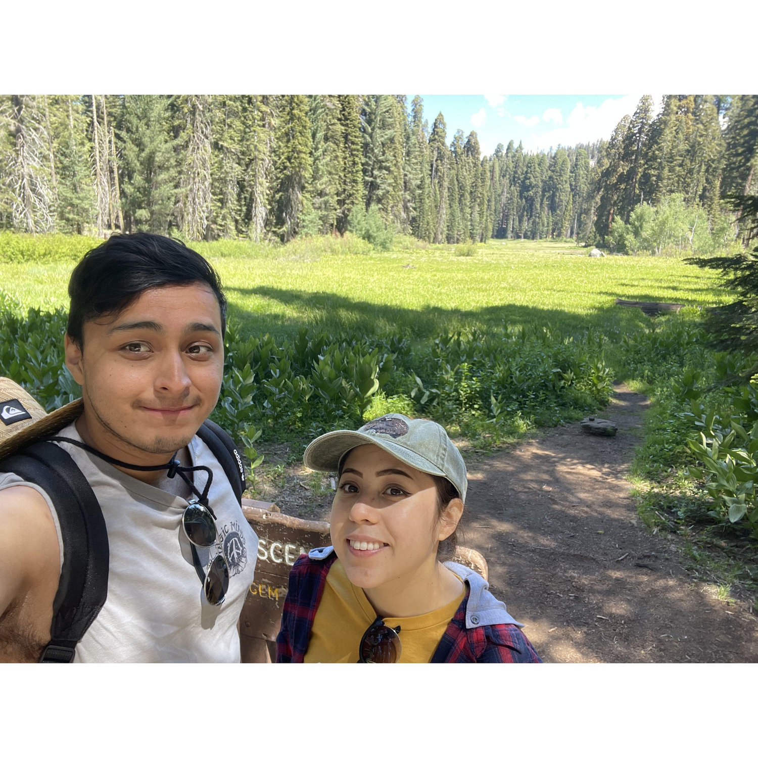 In the meadows
