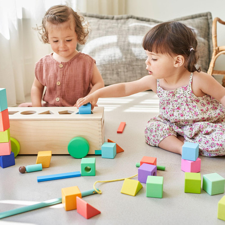 Lovevery, The Block Set | Zola Baby