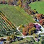Saint Paul Mountain Vineyards