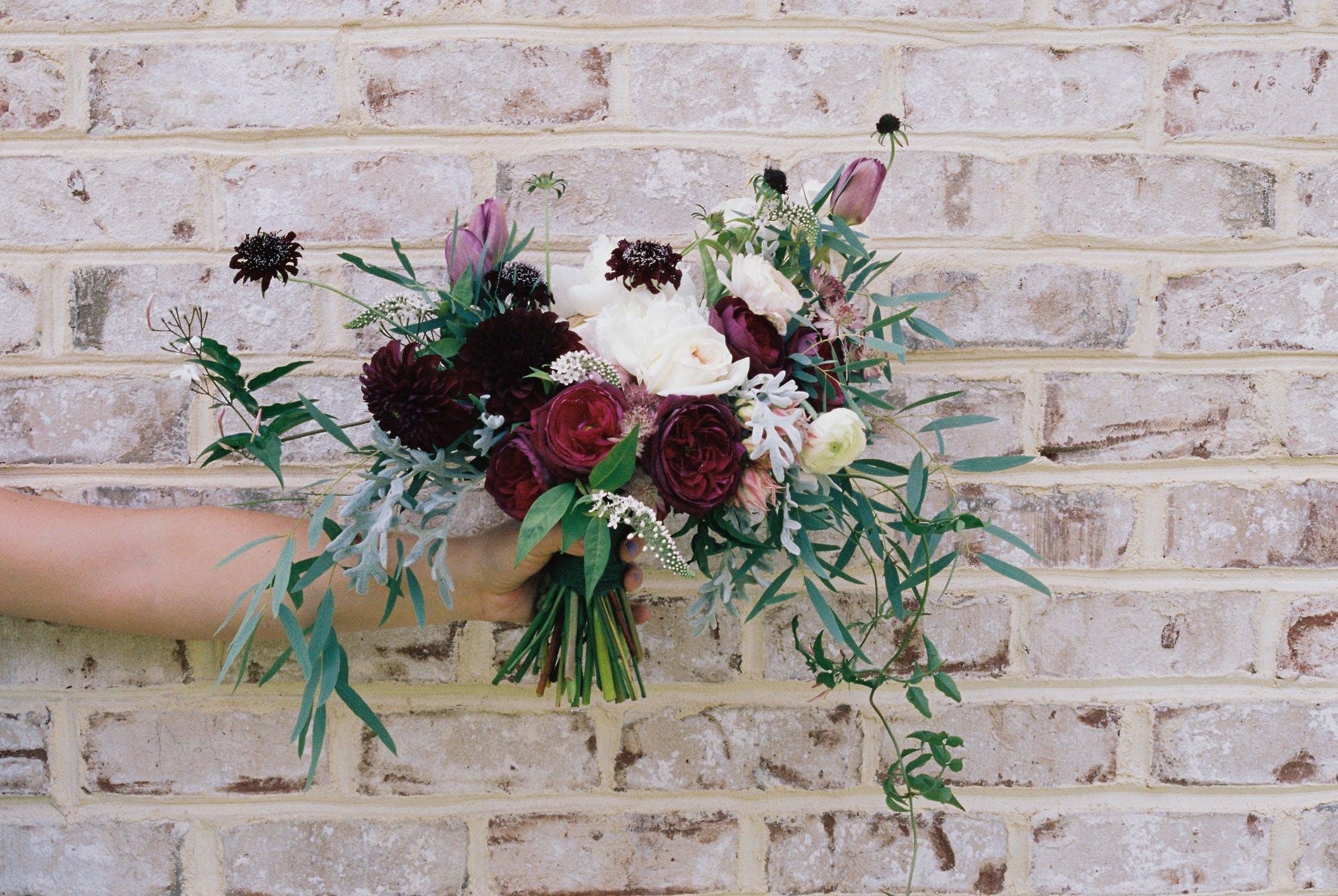 The Wedding Website of Annie Gagliardi and Dino Alexiou