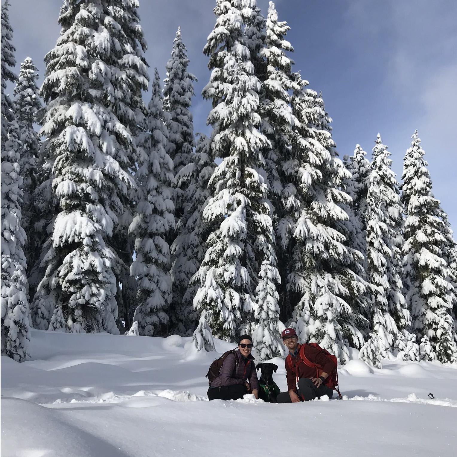 Snowshoeing on Johnson Ridge [November 2018]